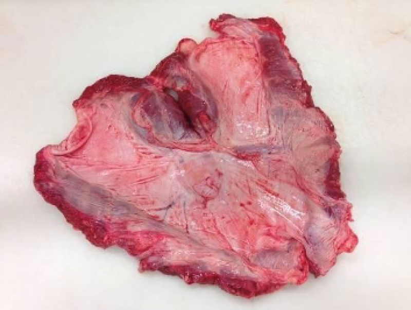 猪护心肉（包心肉、横膈膜、隔山肉）