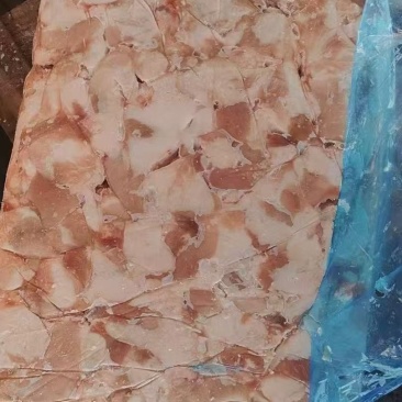 标猪倒三七25kg/袋新货鲜分