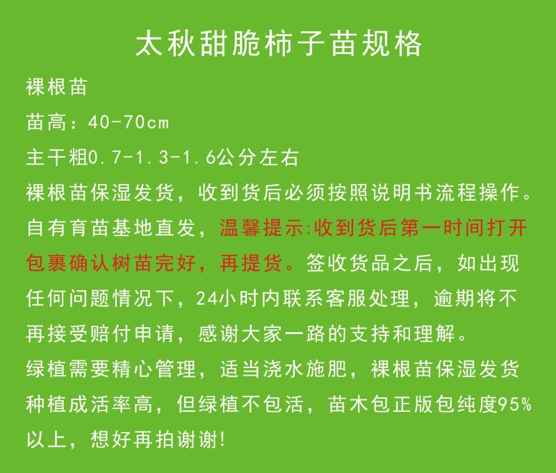 太秋甜柿裸根苗冰糖心脆甜不涩太秋脆甜柿正宗对版