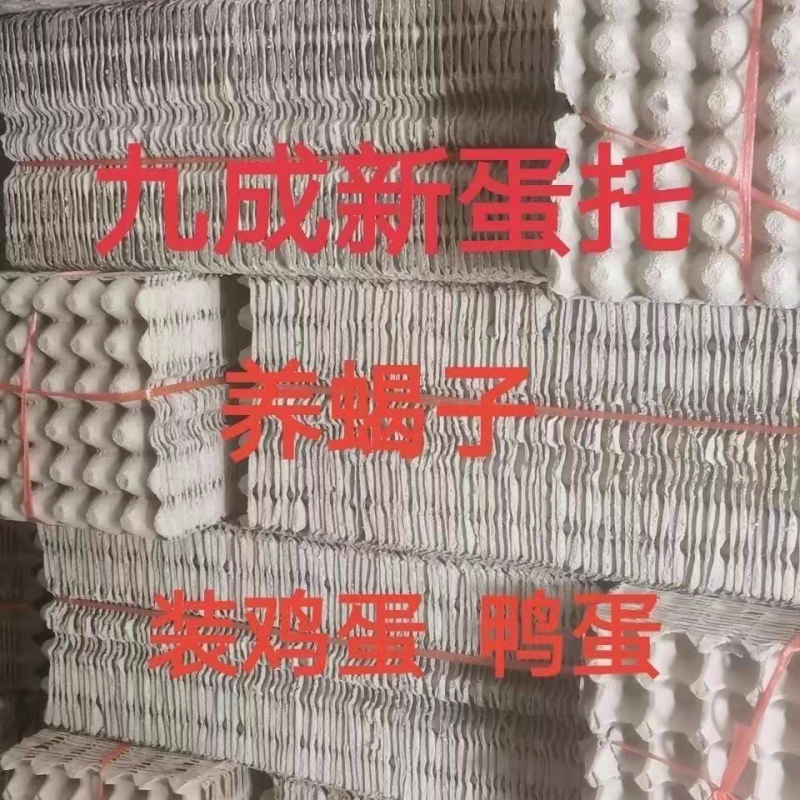 精品二手鸡蛋托大量有货