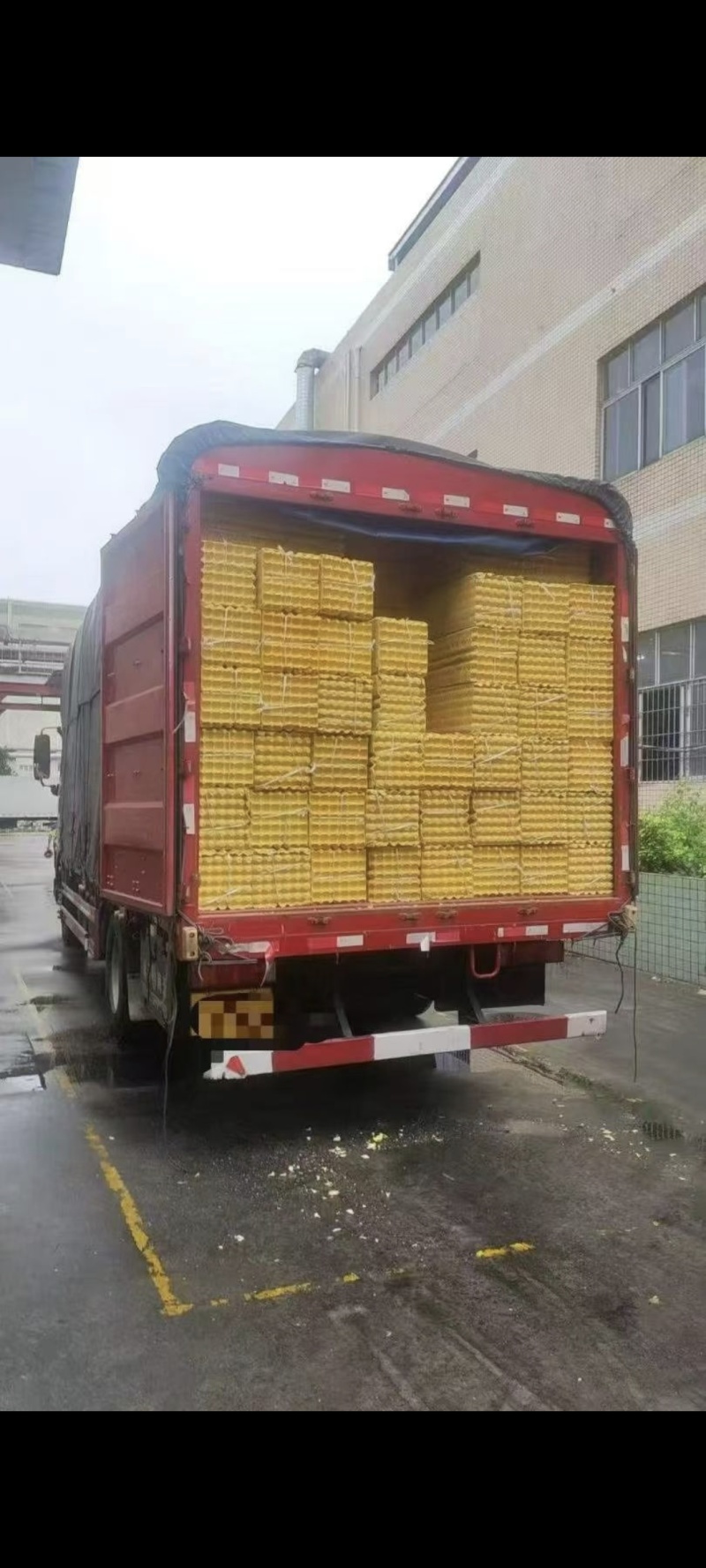精品二手鸡蛋托大量有货