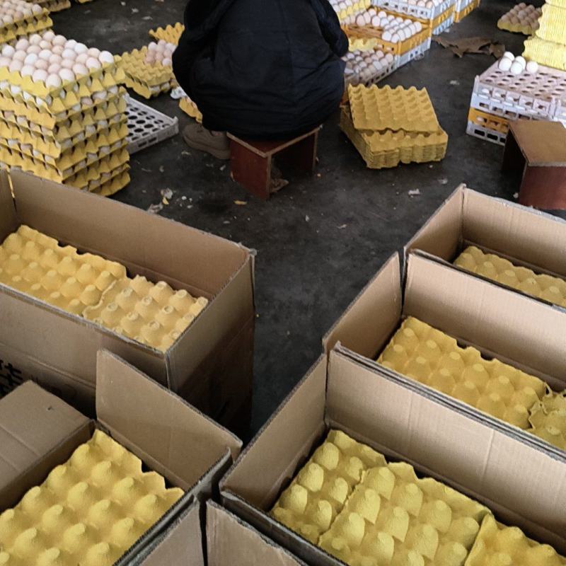每天有15件到20件鲜鸡蛋