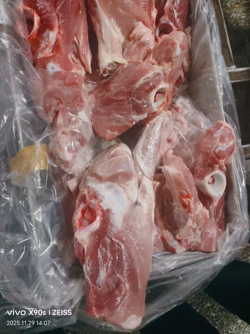 肥猪尾叉骨9个左右10kg/箱新货鲜分