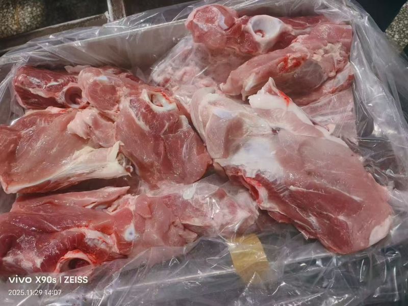 肥猪尾叉骨9个左右10kg/箱新货鲜分