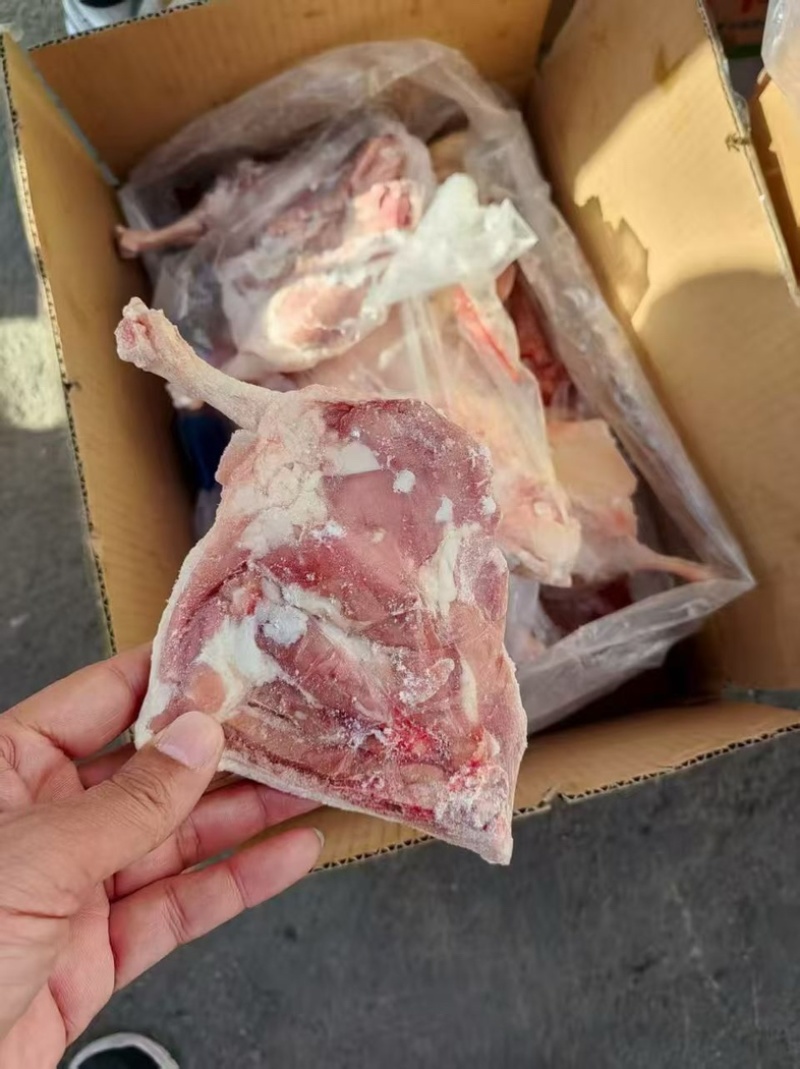 一级箱装鸭边腿各规格齐全整车价30吨3800一吨