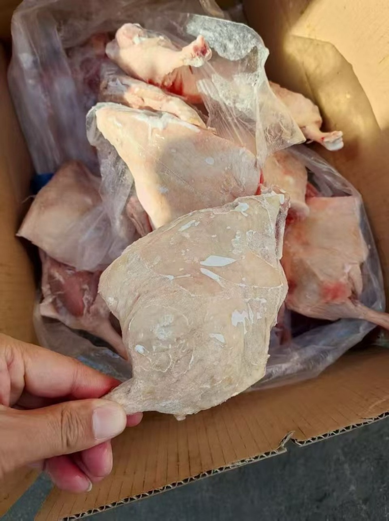 一级箱装鸭边腿各规格齐全整车价30吨3800一吨