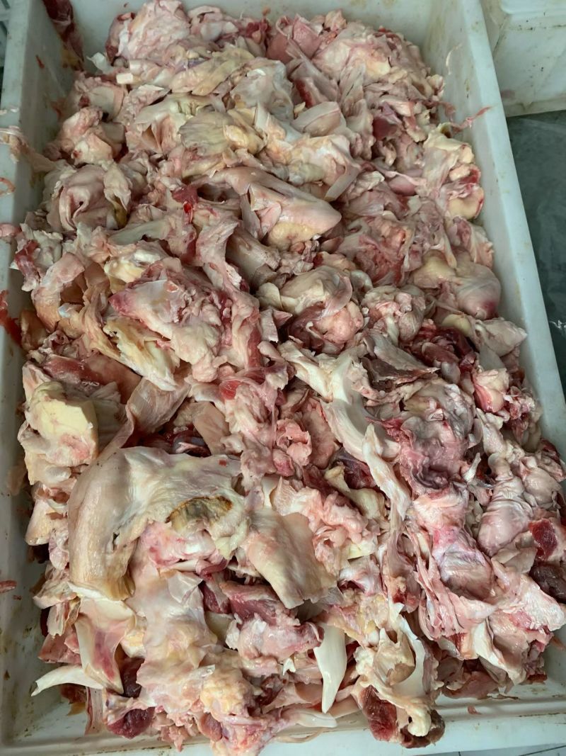 牛棒骨肉筋，纯干无水，工厂长期供应货源