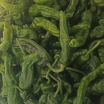 新鲜的皱皮辣椒特辣薄皮支持商超精品，电商货，全国发货批发