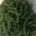 新鲜的皱皮辣椒特辣薄皮支持商超精品，电商货，全国发货批发