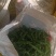 新鲜的皱皮辣椒特辣薄皮支持商超精品，电商货，全国发货批发