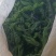 新鲜的皱皮辣椒特辣薄皮支持商超精品，电商货，全国发货批发