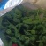 新鲜的皱皮辣椒特辣薄皮支持商超精品，电商货，全国发货批发