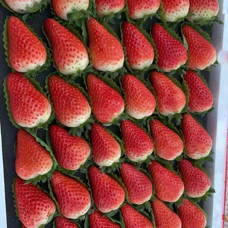 草莓，货发全国，提供各种包装，品种齐全。