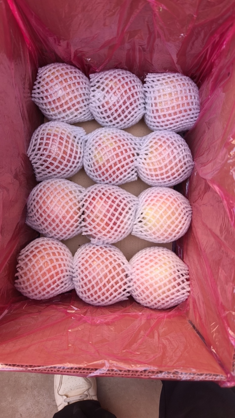 山西膜代苹果纸加膜苹果红富士冰糖心市场货精品货电商货脆甜