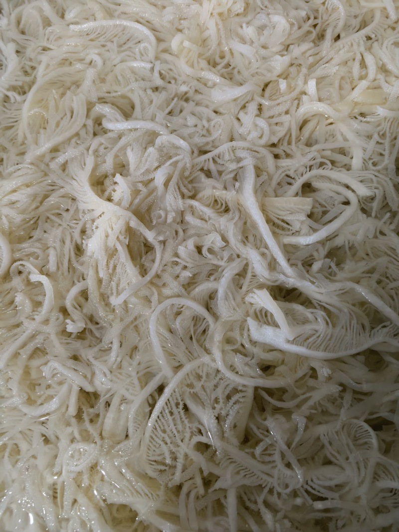 白千层，长年大量有货，价格透明全国发货，适用火锅串串冒菜