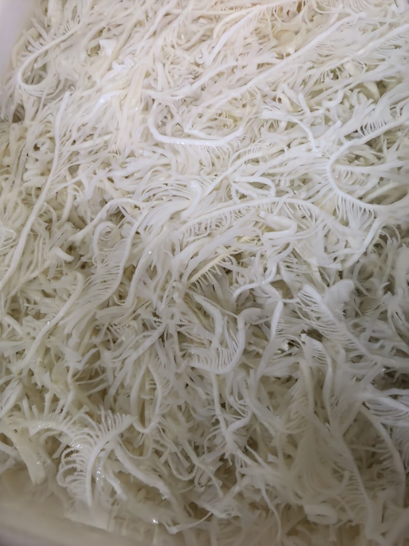 白千层，长年大量有货，价格透明全国发货，适用火锅串串冒菜