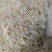白千层，长年大量有货，价格透明全国发货，适用火锅串串冒菜