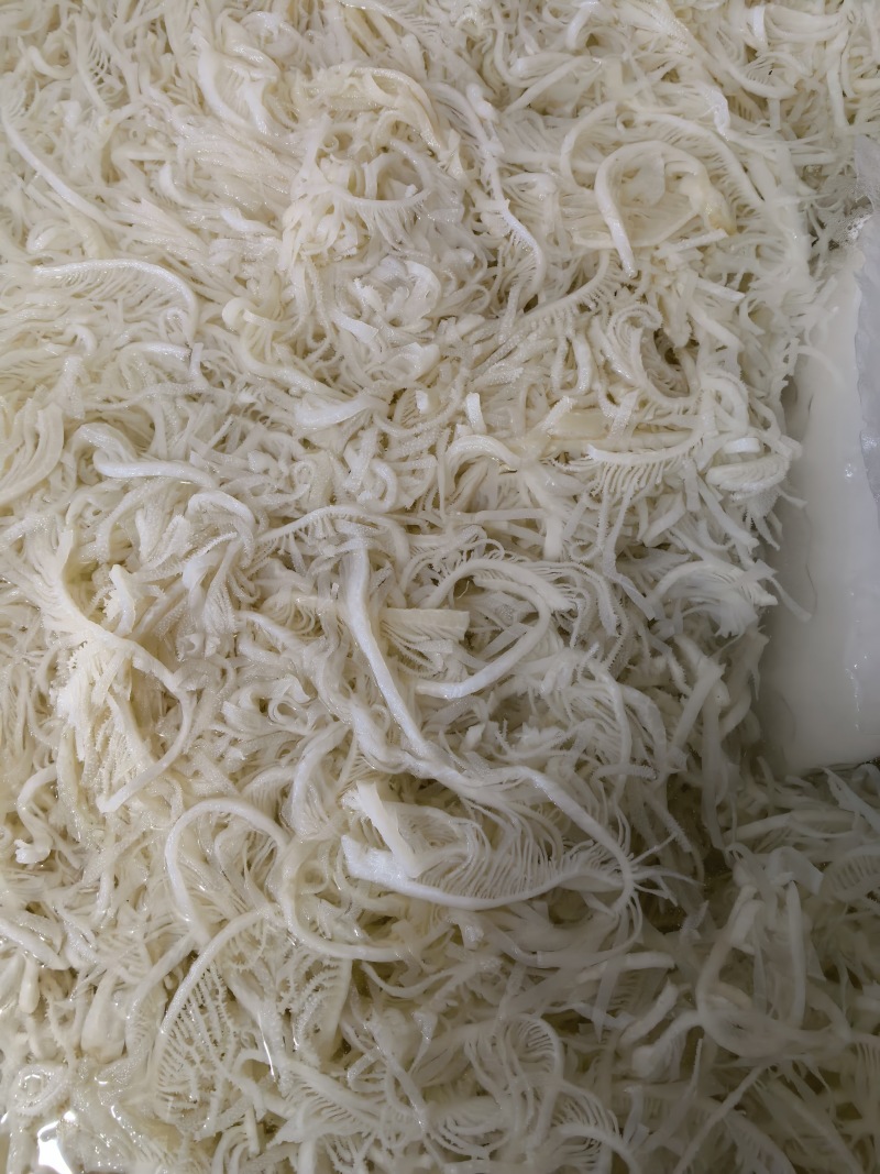 白千层，长年大量有货，价格透明全国发货，适用火锅串串冒菜