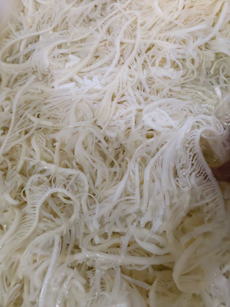 白千层，长年大量有货，价格透明全国发货，适用火锅串串冒菜