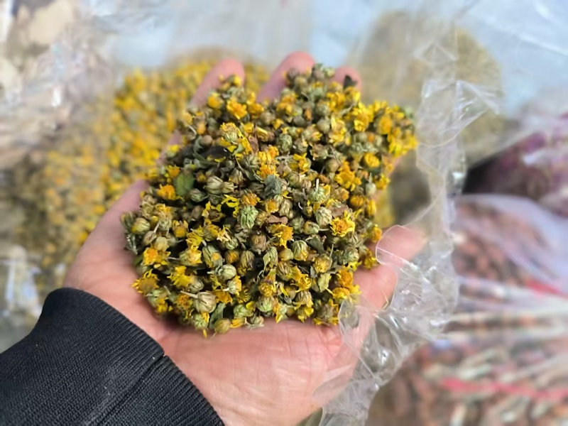 野菊花