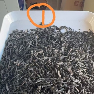 福建正山小种专业批发，诚信经营以茶会友