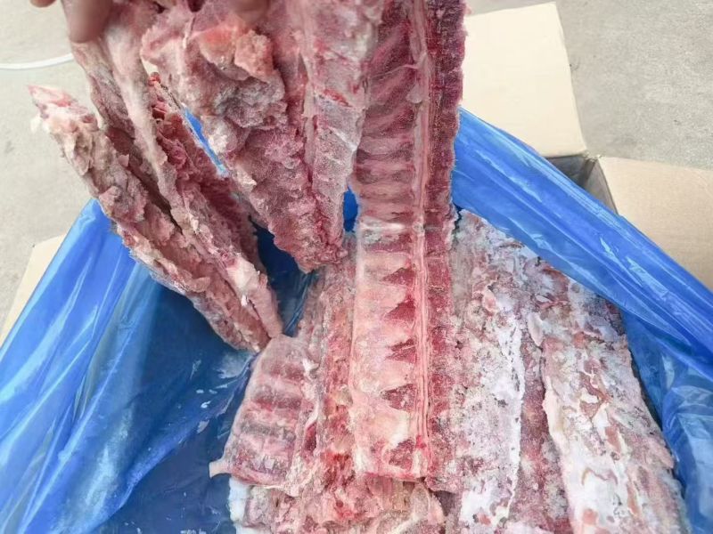 猪背骨