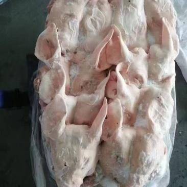 肥猪带耳头
