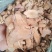 野生土茯苓无硫磺