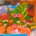 紫苏大叶日料