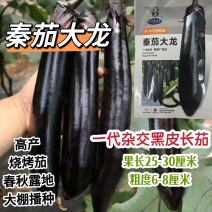 秦茄大龙烧烤茄种子肉厚皮光泽高产黑又亮长茄种子露地大棚种