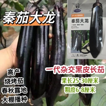 秦茄大龙烧烤茄种子肉厚皮光泽高产黑又亮长茄种子露地大棚种