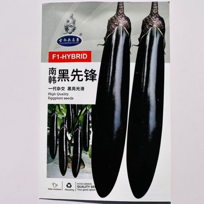 秦茄大龙烧烤茄种子肉厚皮光泽高产黑又亮长茄种子露地大棚种