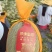 精品哈密瓜/海南哈密瓜产地供应量大从优质量保证欢迎咨询