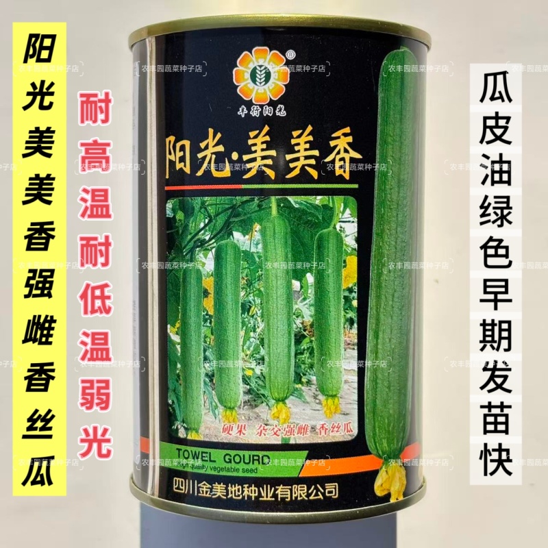 阳光美美香丝瓜种子强雌型瓜皮油绿色耐高温耐低温弱光香丝瓜