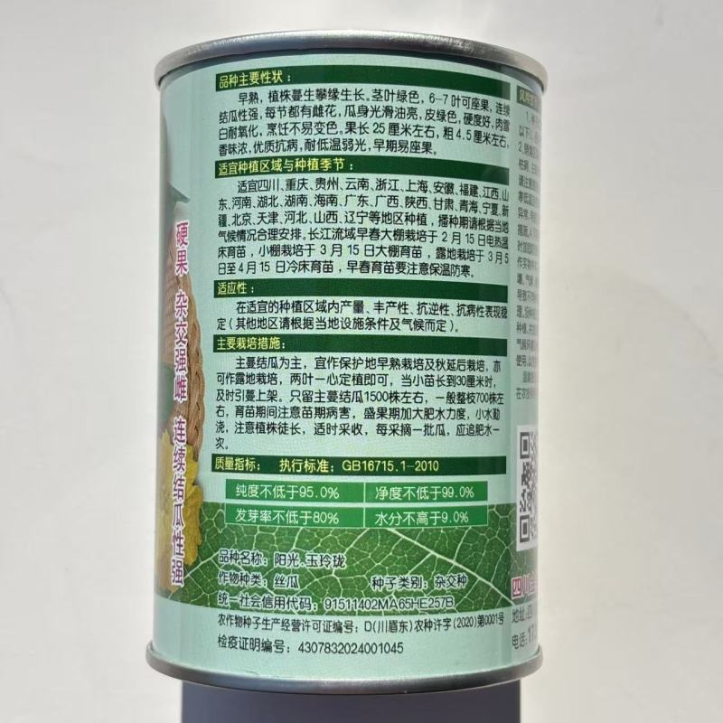 阳光玉玲珑丝瓜种子油亮强雌型抗病每节都有雌花香丝瓜种子