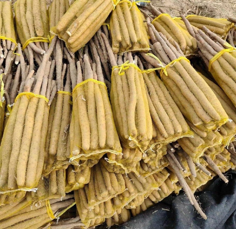 山药电商品假铁棍白玉双棒小白嘴紫药麻山药铁棍