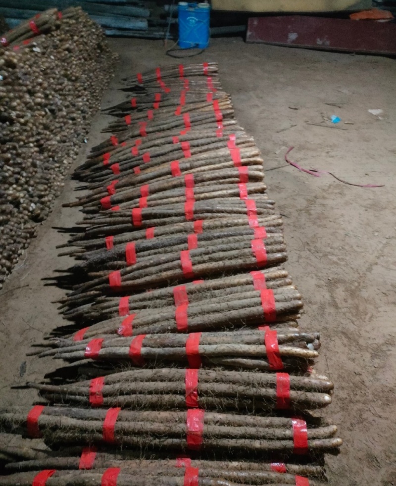 山药电商品假铁棍白玉双棒小白嘴紫药麻山药铁棍