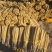 山药电商品假铁棍白玉双棒小白嘴紫药麻山药铁棍