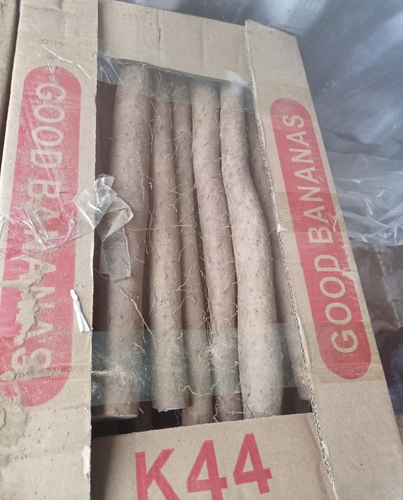 山药电商品假铁棍白玉双棒小白嘴紫药麻山药铁棍