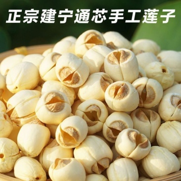 白莲子精品，莲子大量有货，颗粒饱满肉厚，无硫不染色