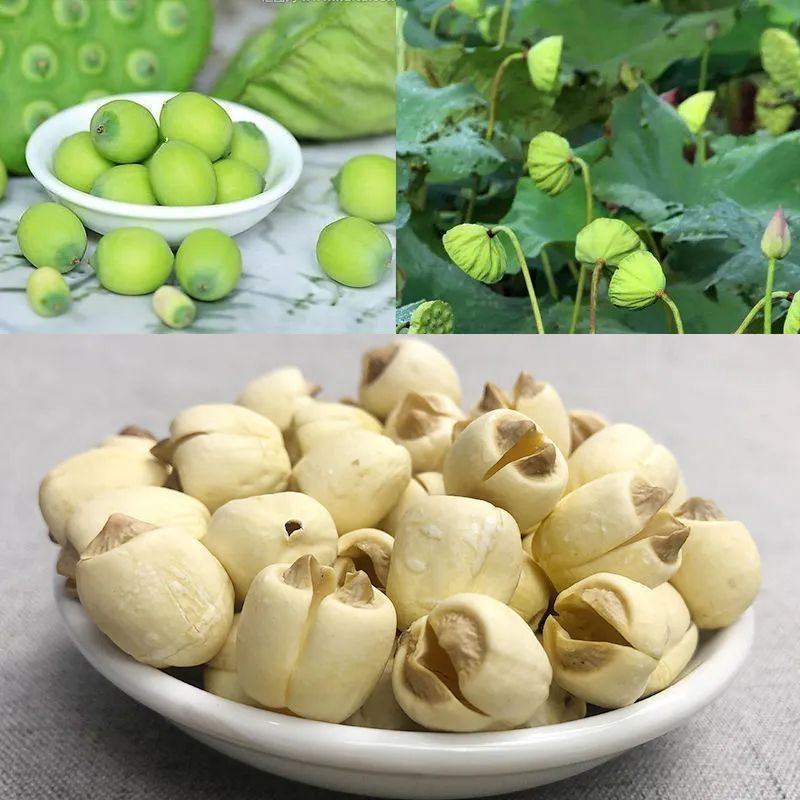 白莲子精品，莲子大量有货，颗粒饱满肉厚，无硫不染色