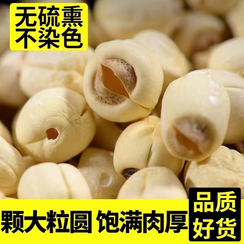 白莲子精品，莲子大量有货，颗粒饱满肉厚，无硫不染色