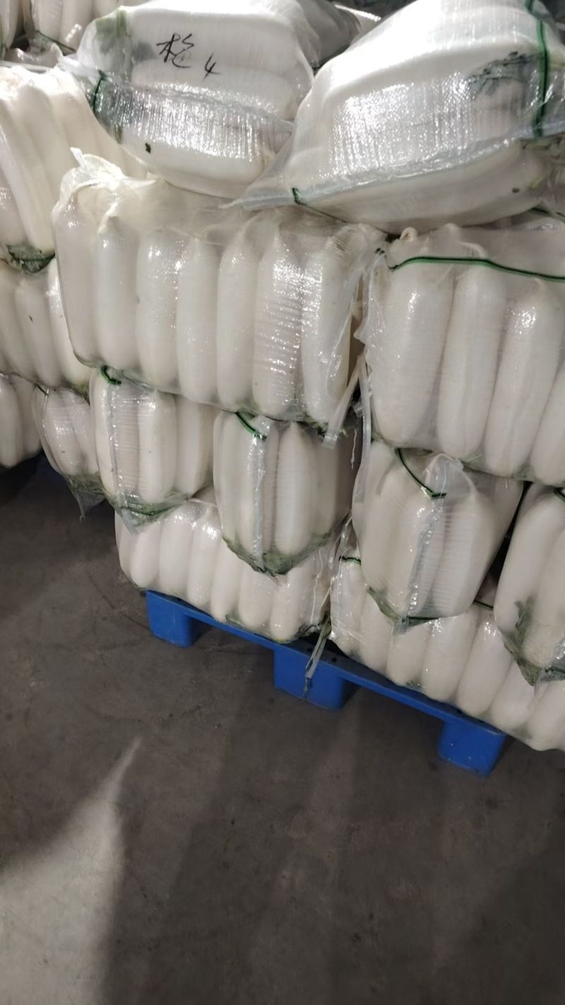 湖北沙洋精品白萝卜大量上市，产地直销，诚信经营，全国发货