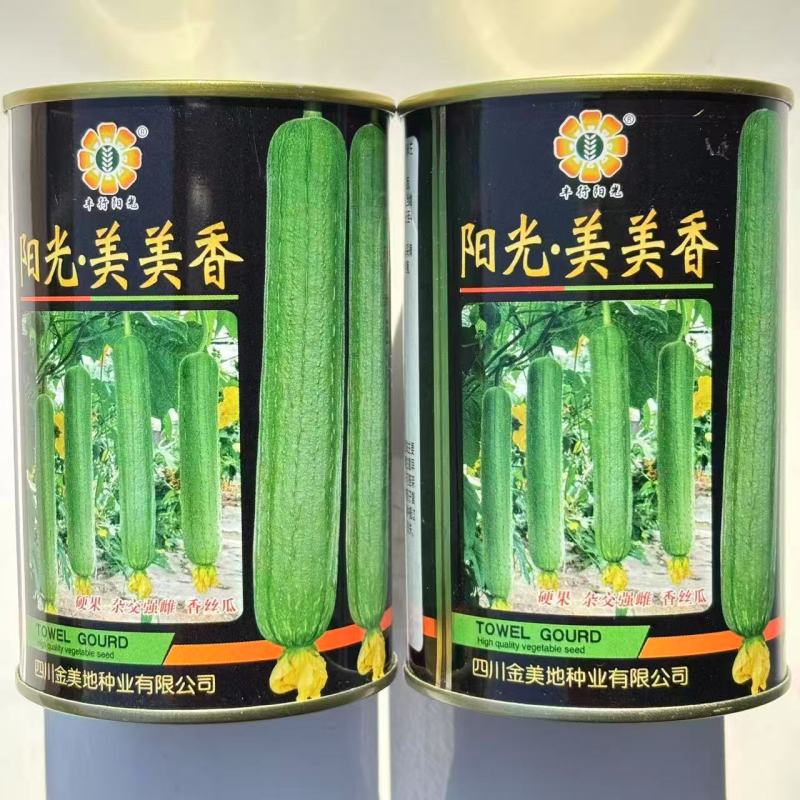 阳光美美香丝瓜种子强雌型瓜皮油绿色耐高耐低温弱光香丝瓜种