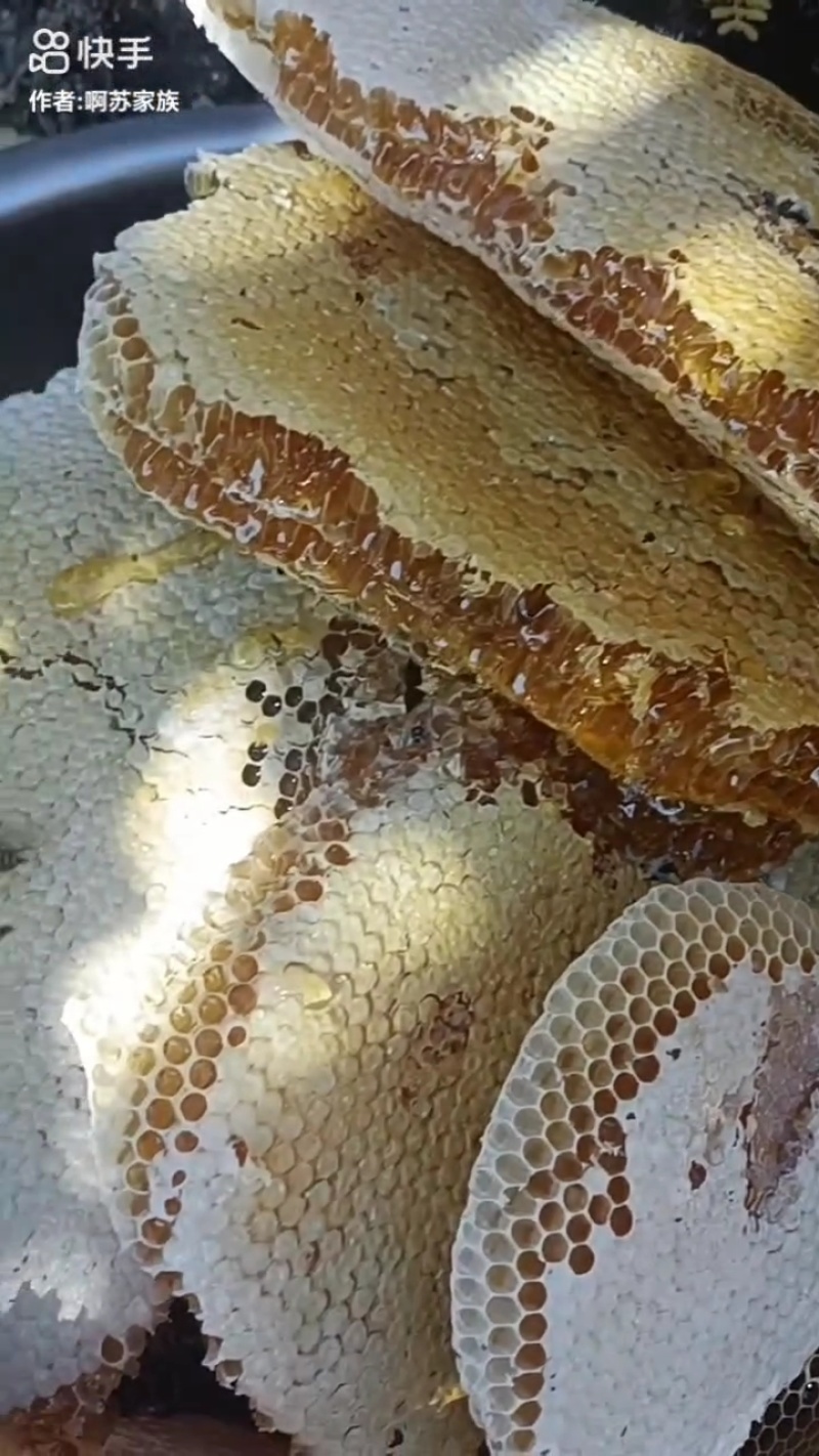 纯野生蜂蜜