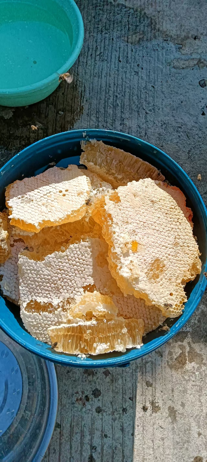 纯野生蜂蜜