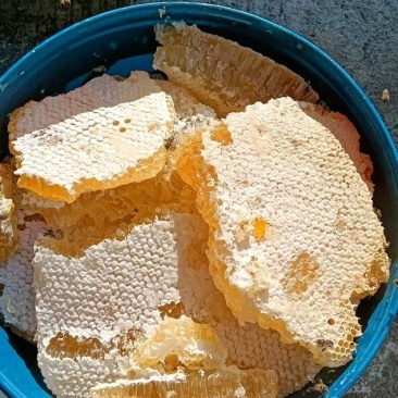 纯野生蜂蜜