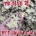 [川穹]四川批发量大价优一手货源，支持零售批发