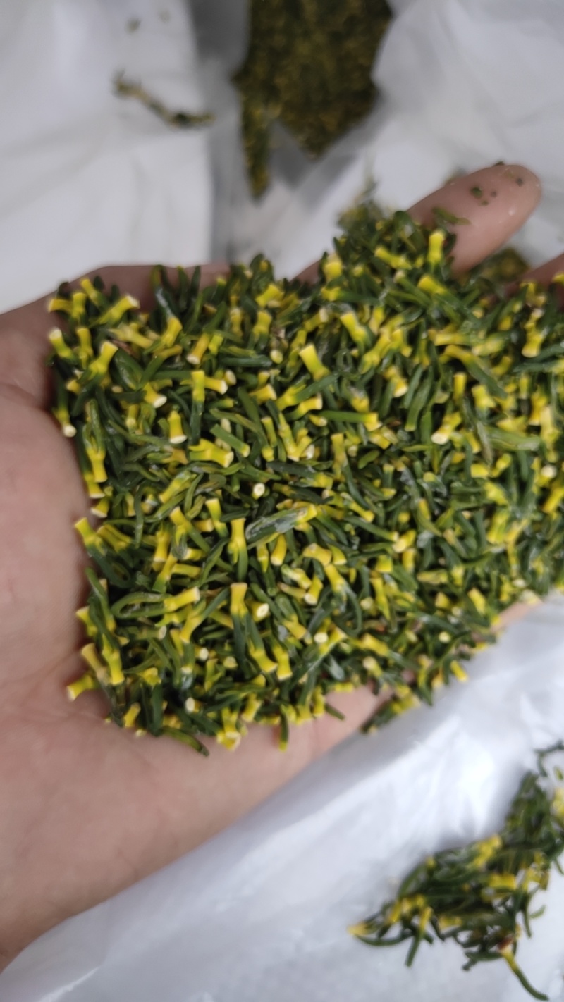 湘潭莲子芯莲心头子王粗头子中头子都有