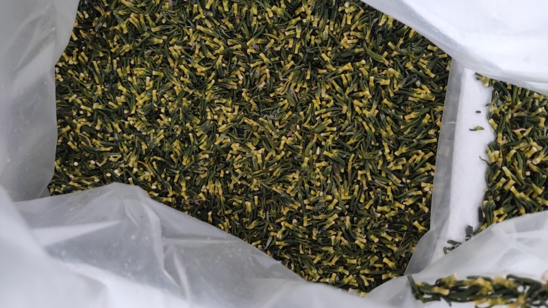 湘潭莲子芯莲心头子王粗头子中头子都有